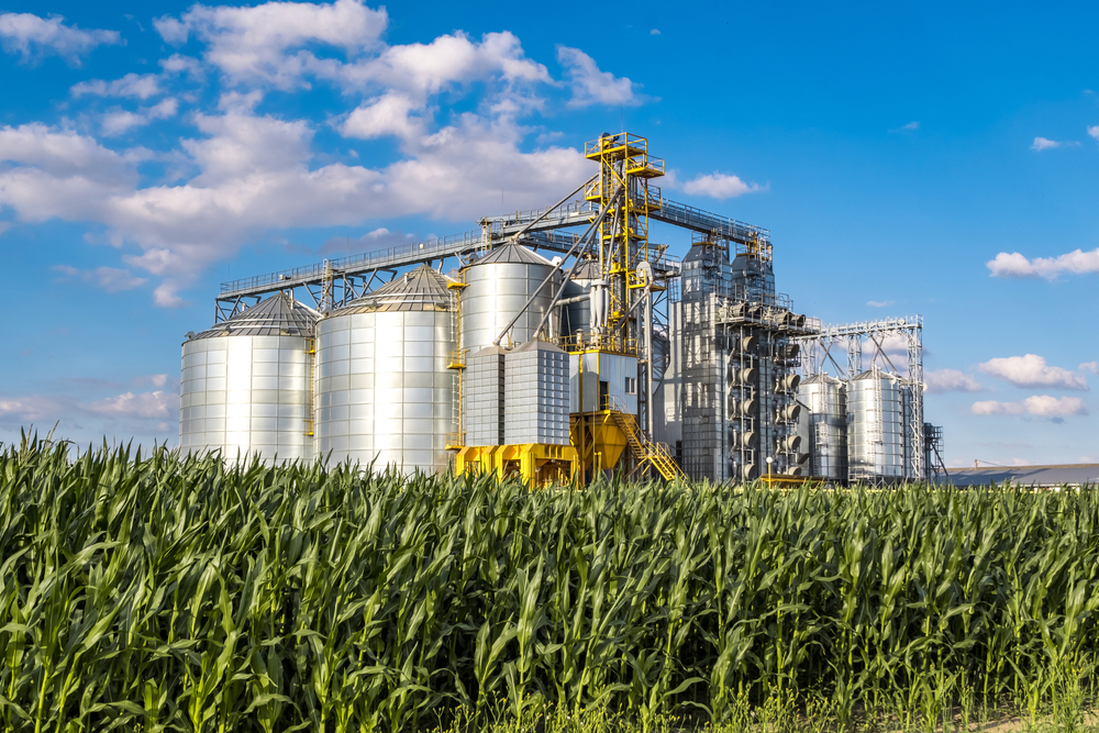 Complexo industrial de silos metálicos para armazenamento de grãos, ao lado de uma plantação de milho sob céu azul